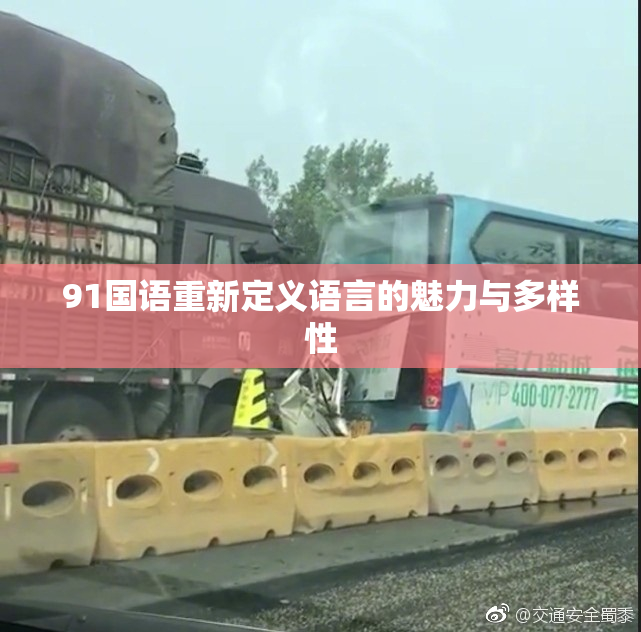 91国语重新定义语言的魅力与多样性