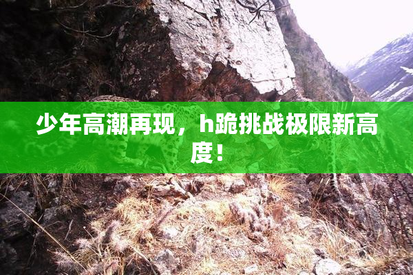 少年高潮再现，h跪挑战极限新高度！