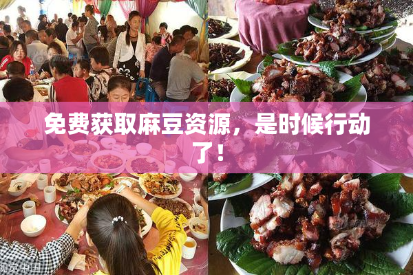 免费获取麻豆资源，是时候行动了！