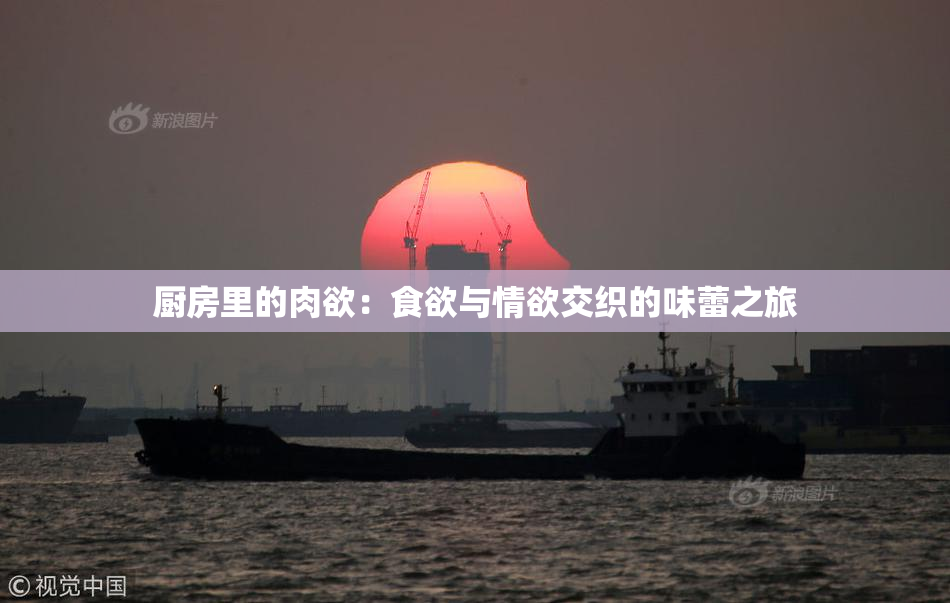 厨房里的肉欲：食欲与情欲交织的味蕾之旅