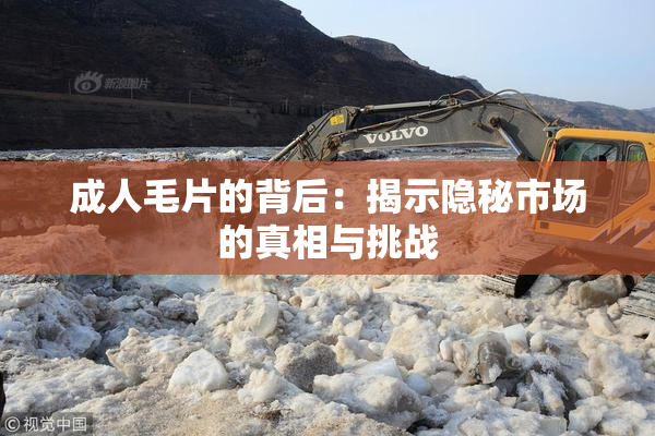 成人毛片的背后：揭示隐秘市场的真相与挑战