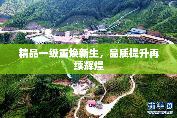 精品一级重焕新生，品质提升再续辉煌