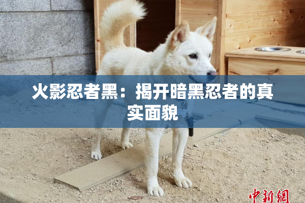 火影忍者黑：揭开暗黑忍者的真实面貌