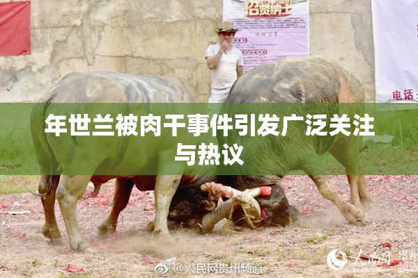 年世兰被肉干事件引发广泛关注与热议