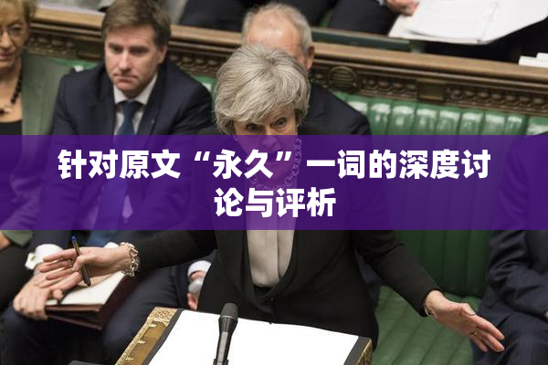 针对原文“永久”一词的深度讨论与评析