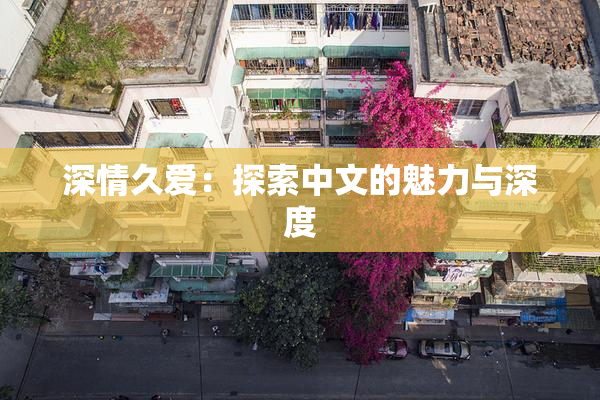 深情久爱：探索中文的魅力与深度