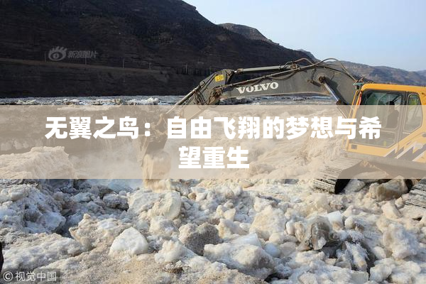 无翼之鸟：自由飞翔的梦想与希望重生