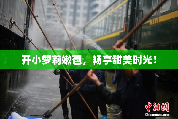 开小箩莉嫩苞，畅享甜美时光！