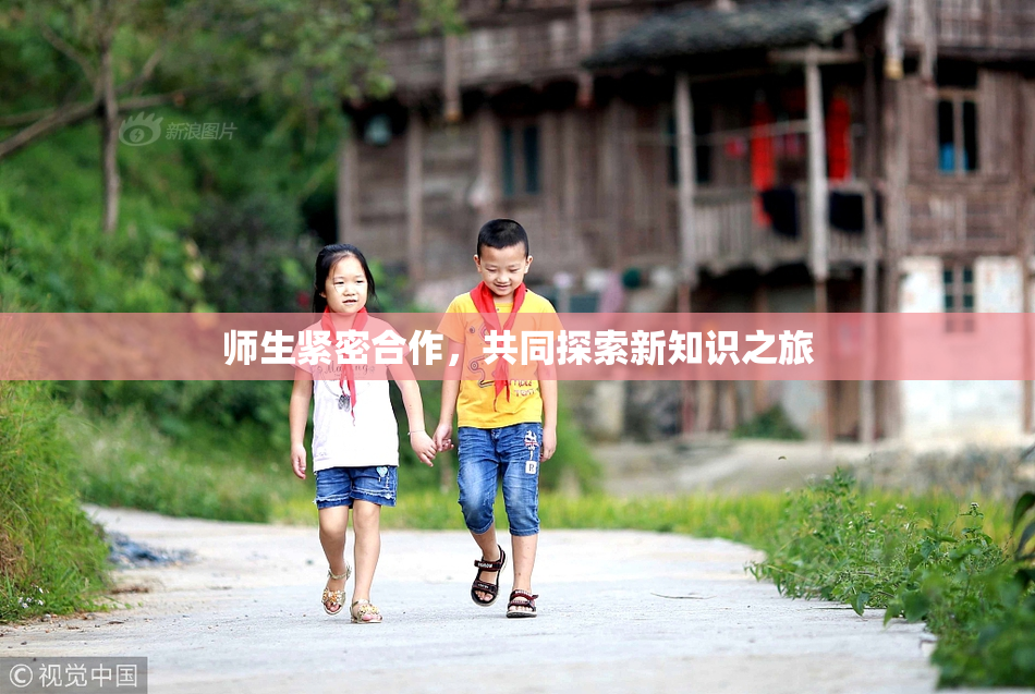 师生紧密合作，共同探索新知识之旅