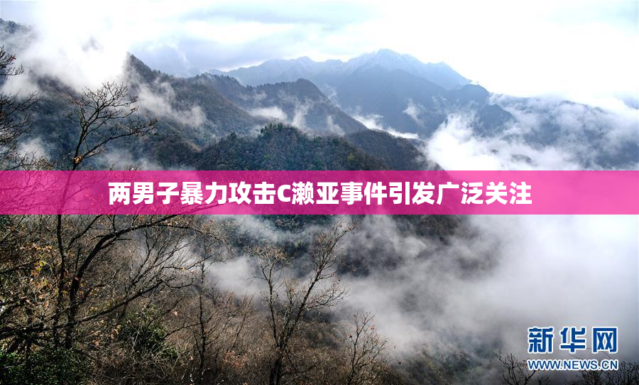 两男子暴力攻击C濑亚事件引发广泛关注