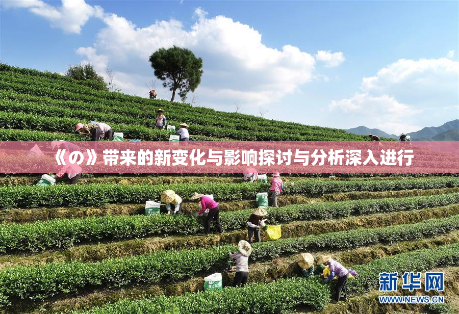 《の》带来的新变化与影响探讨与分析深入进行