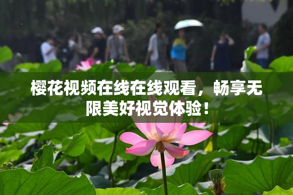 樱花视频在线在线观看，畅享无限美好视觉体验！