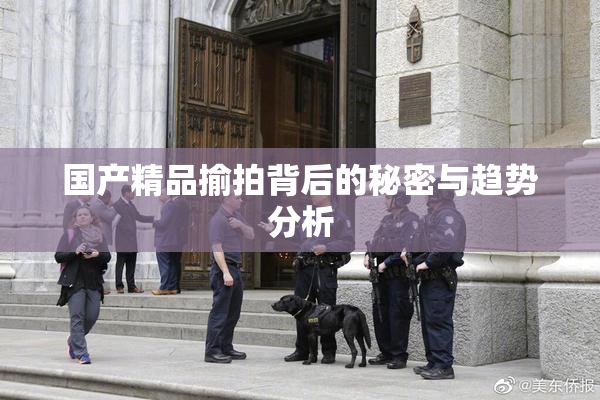 国产精品揄拍背后的秘密与趋势分析