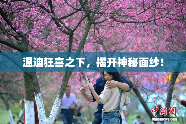 温迪狂喜之下，揭开神秘面纱！