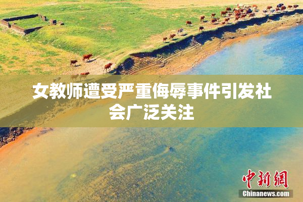 女教师遭受严重侮辱事件引发社会广泛关注