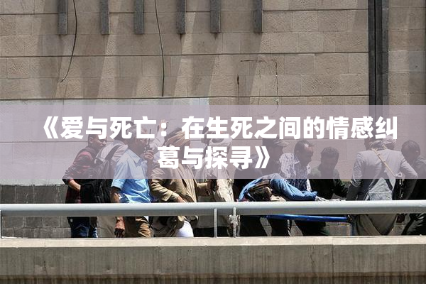 《爱与死亡：在生死之间的情感纠葛与探寻》