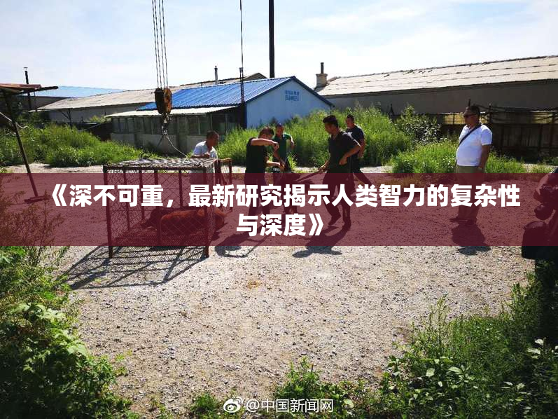 《深不可重，最新研究揭示人类智力的复杂性与深度》