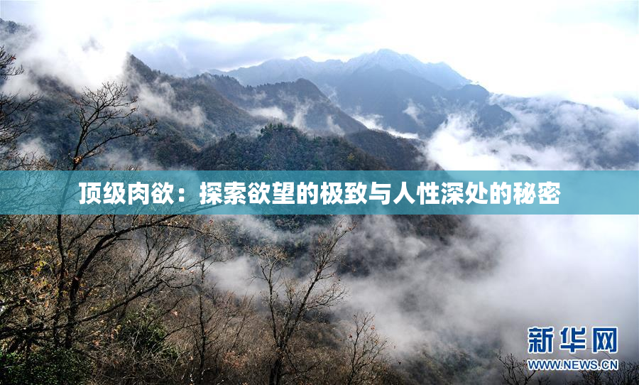 顶级肉欲：探索欲望的极致与人性深处的秘密