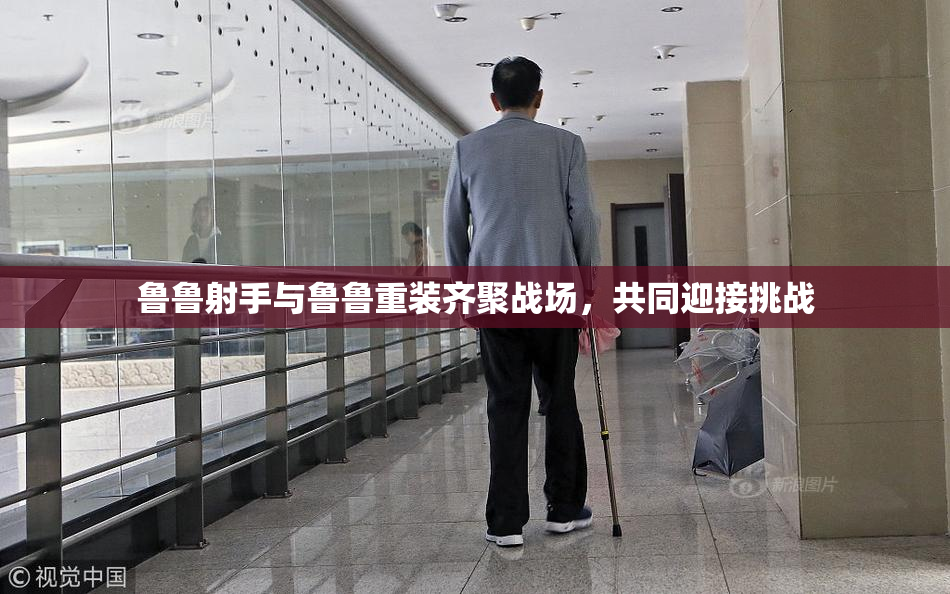 鲁鲁射手与鲁鲁重装齐聚战场，共同迎接挑战