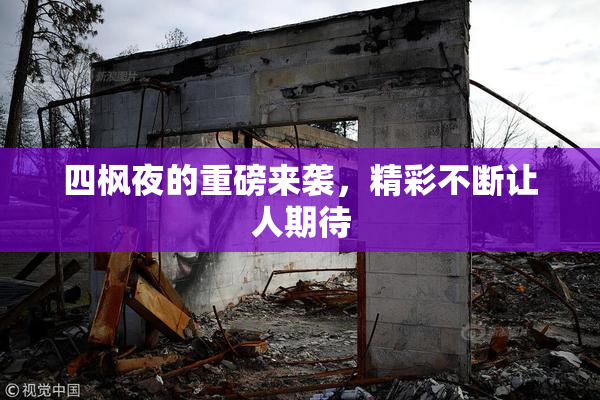 四枫夜的重磅来袭，精彩不断让人期待
