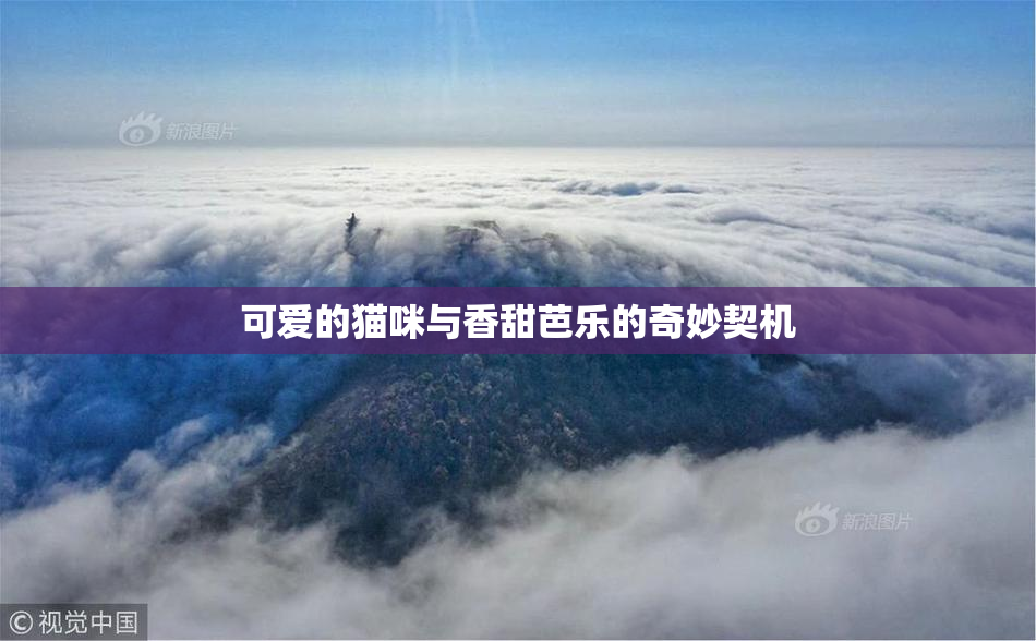 可爱的猫咪与香甜芭乐的奇妙契机