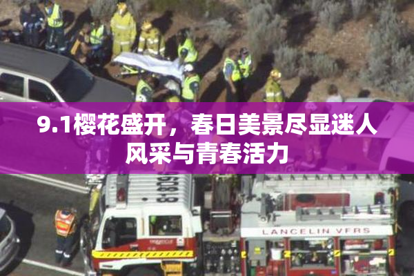 9.1樱花盛开，春日美景尽显迷人风采与青春活力