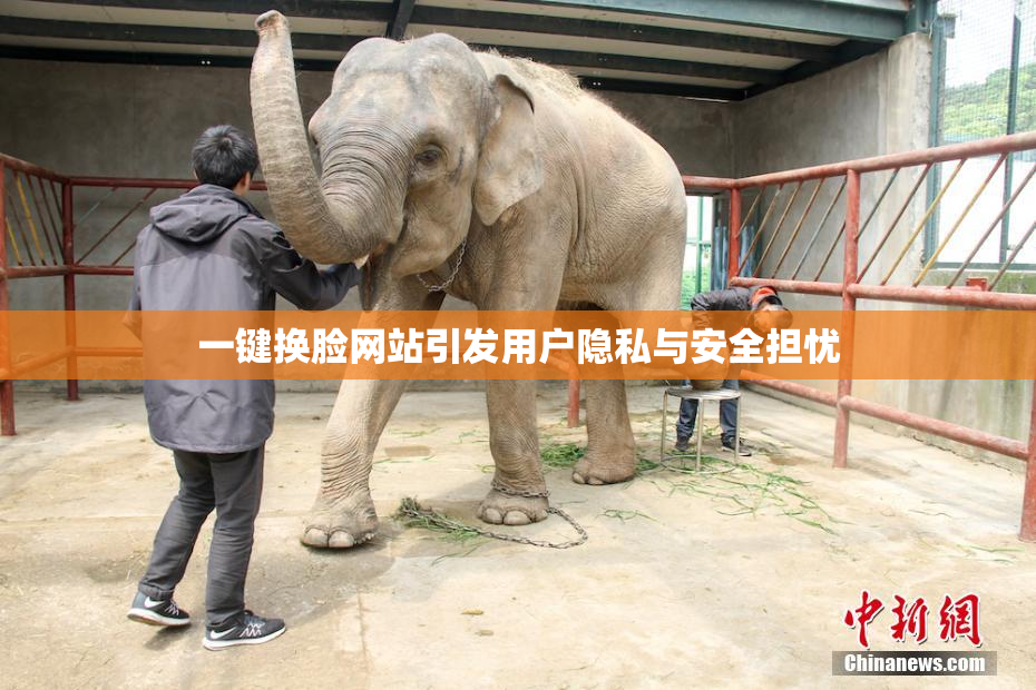 一键换脸网站引发用户隐私与安全担忧