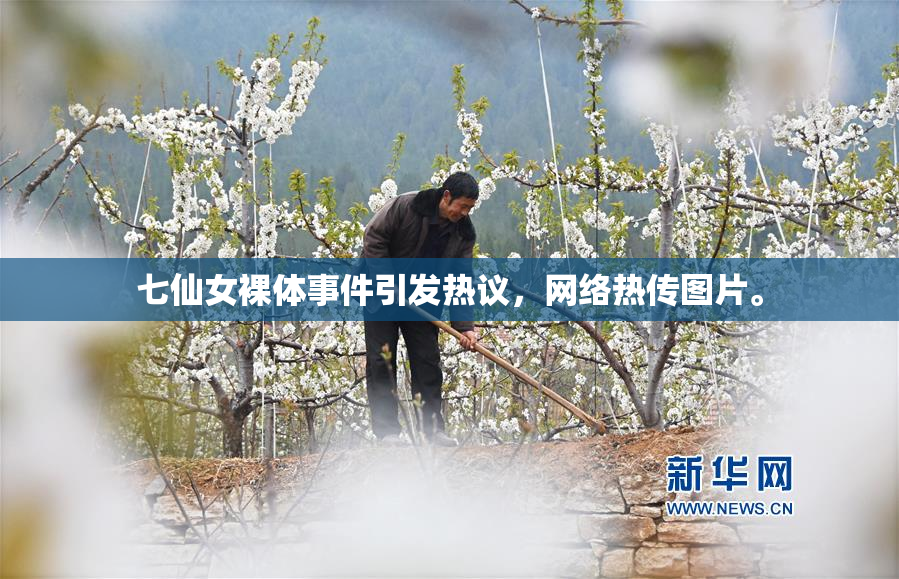 七仙女裸体事件引发热议，网络热传图片。