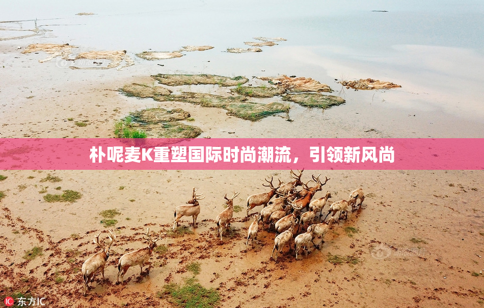 朴呢麦K重塑国际时尚潮流，引领新风尚