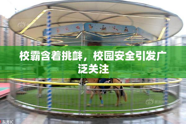 校霸含着挑衅，校园安全引发广泛关注