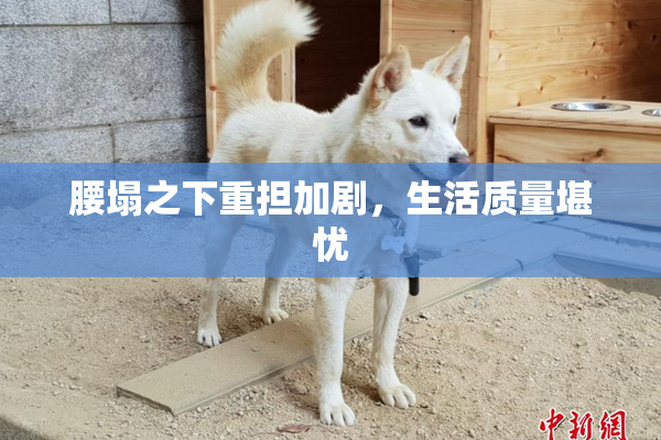 腰塌之下重担加剧，生活质量堪忧