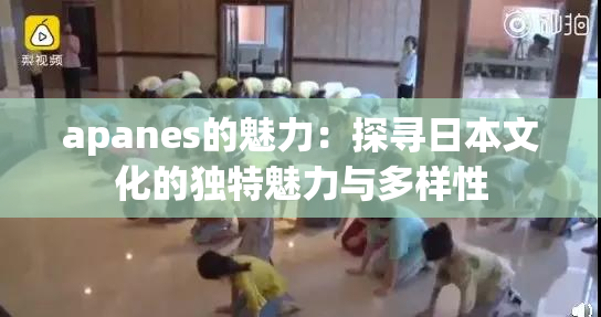 apanes的魅力：探寻日本文化的独特魅力与多样性