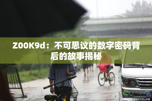 Z00K9d：不可思议的数字密码背后的故事揭秘