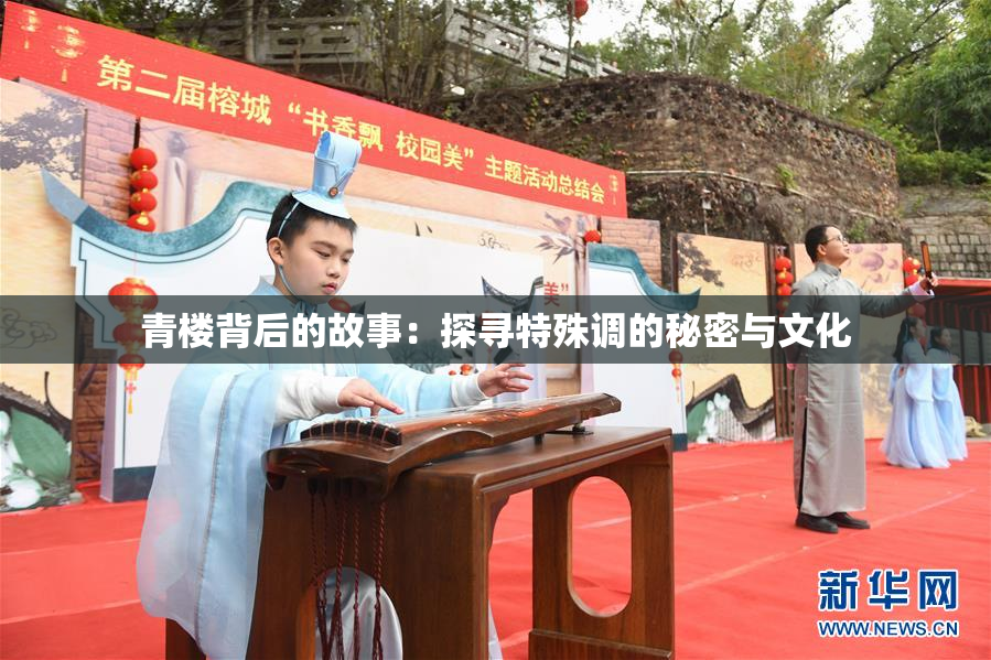 青楼背后的故事：探寻特殊调的秘密与文化