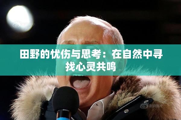 田野的忧伤与思考：在自然中寻找心灵共鸣
