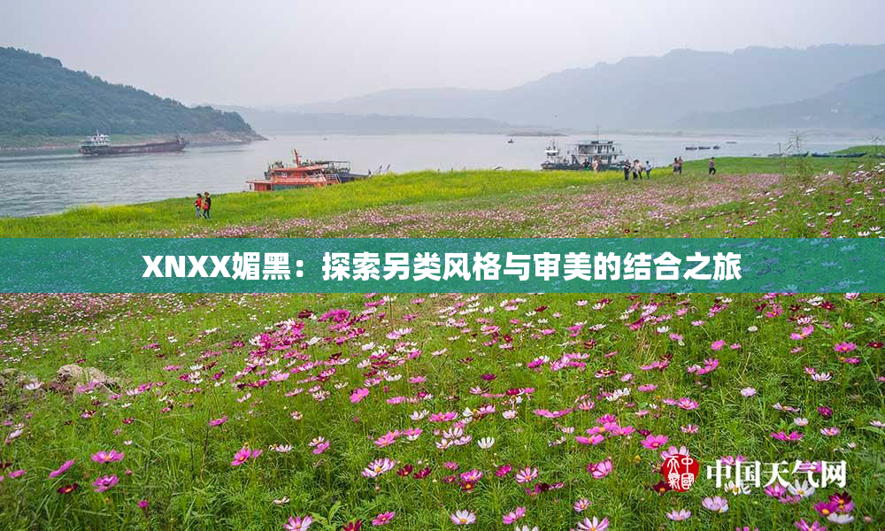 XNXX媚黑：探索另类风格与审美的结合之旅