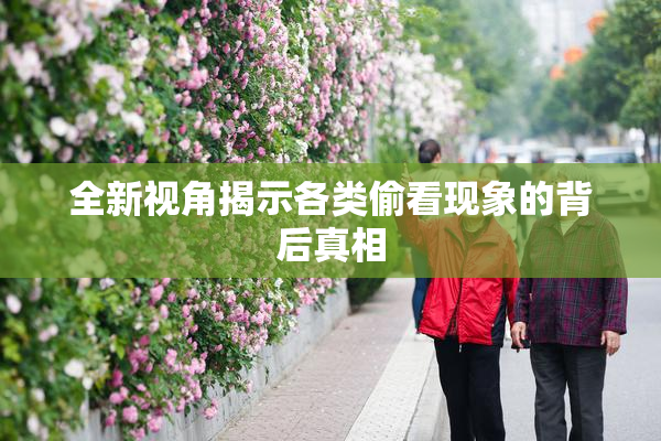 全新视角揭示各类偷看现象的背后真相
