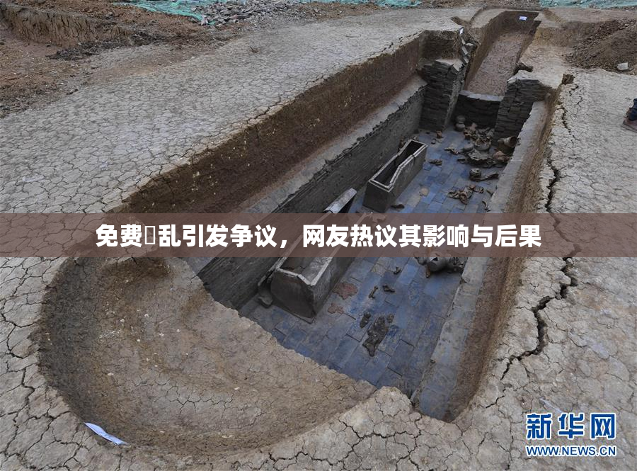 免费婬乱引发争议，网友热议其影响与后果