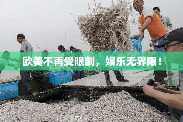 欧美不再受限制，娱乐无界限！
