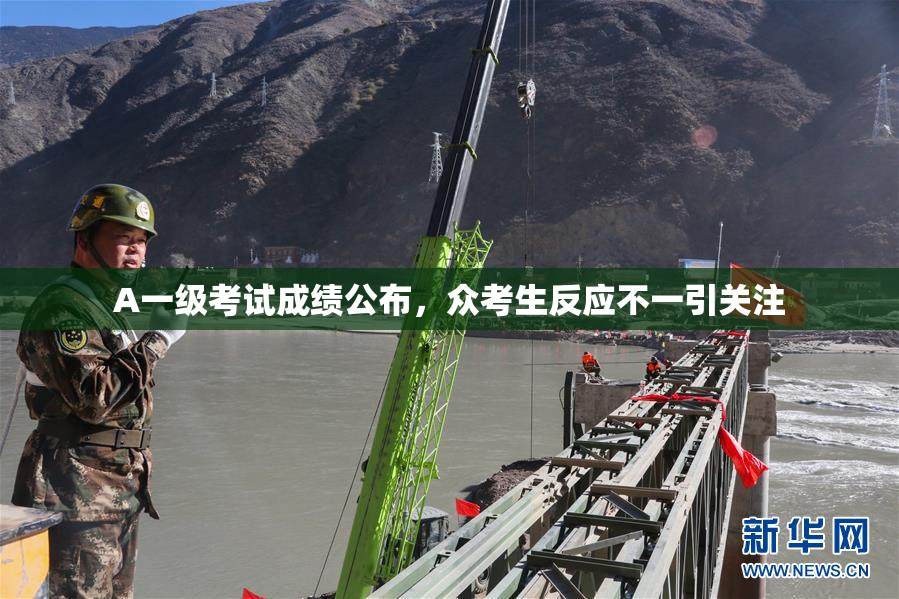A一级考试成绩公布，众考生反应不一引关注