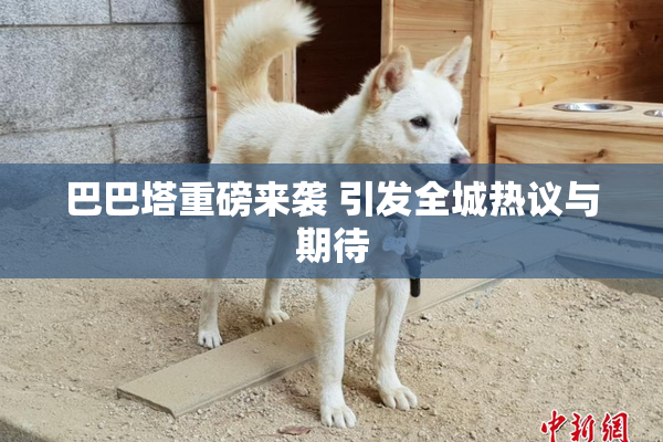 巴巴塔重磅来袭 引发全城热议与期待