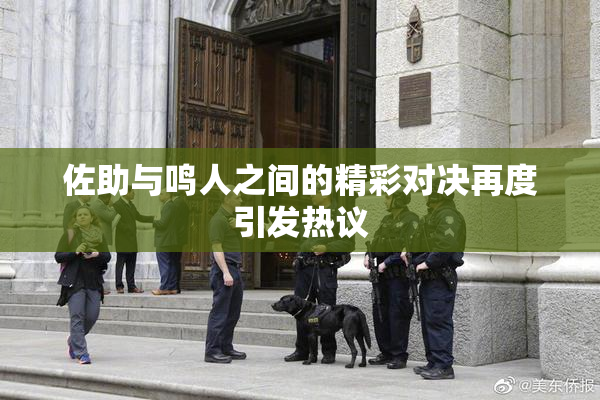 佐助与鸣人之间的精彩对决再度引发热议