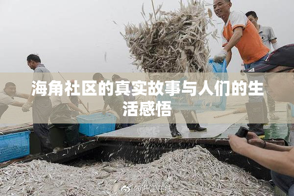 海角社区的真实故事与人们的生活感悟