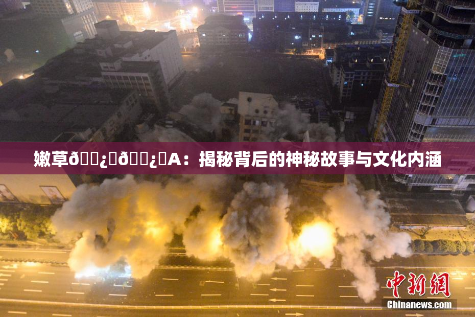 嫩草🌿‌🌿‌A：揭秘背后的神秘故事与文化内涵
