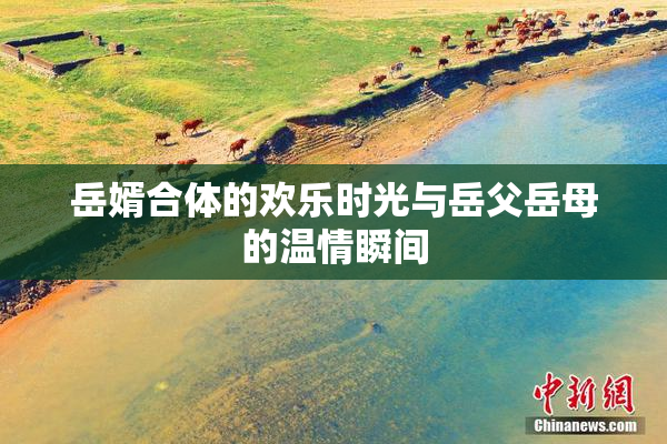 岳婿合体的欢乐时光与岳父岳母的温情瞬间