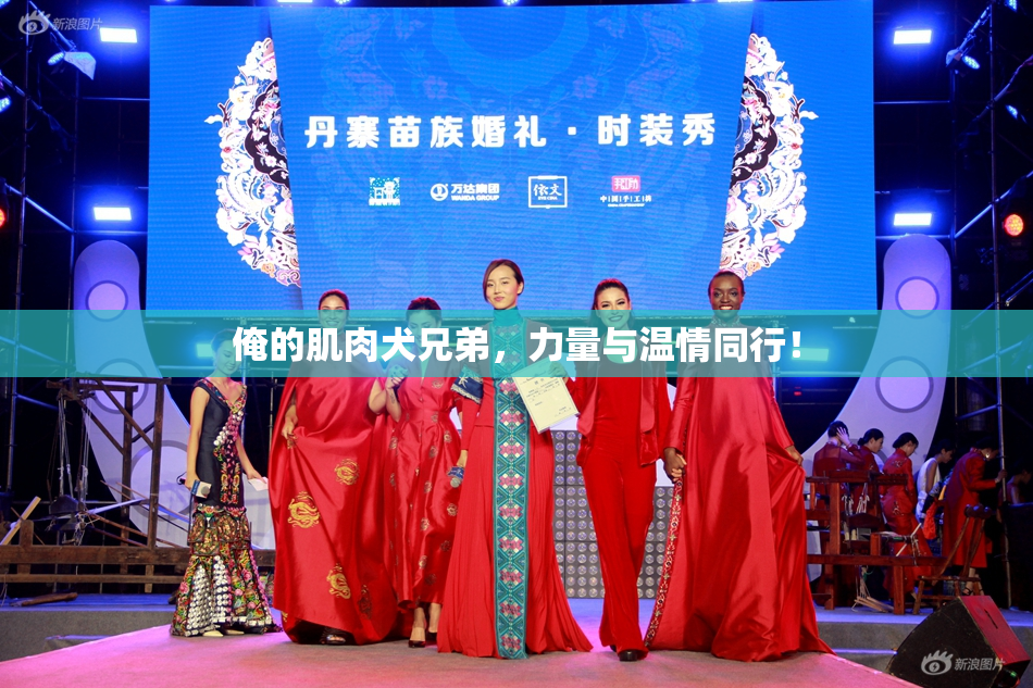 俺的肌肉犬兄弟，力量与温情同行！