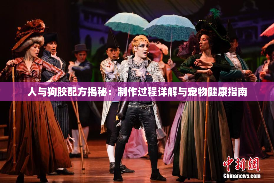 人与狗胶配方揭秘：制作过程详解与宠物健康指南