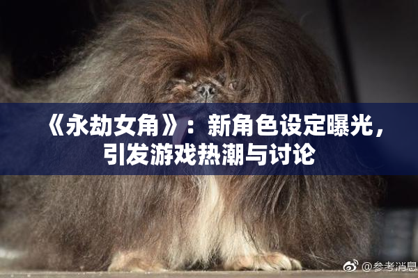 《永劫女角》：新角色设定曝光，引发游戏热潮与讨论