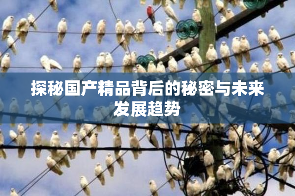 探秘国产精品背后的秘密与未来发展趋势