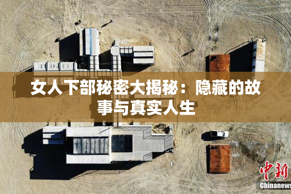 女人下部秘密大揭秘：隐藏的故事与真实人生